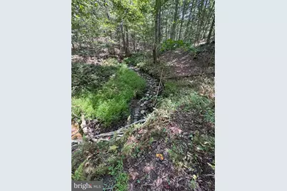 2280 Frogtown Road, Bluemont, VA 20135 - Photo 61