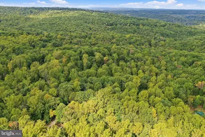 2280 Frogtown Road, Bluemont, VA 20135 - Photo 63