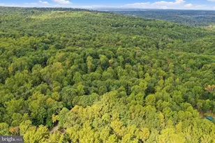 2280 Frogtown Rd, Bluemont, VA 20135 - Photo 63