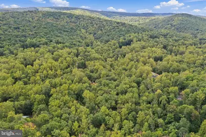 2280 Frogtown Road, Bluemont, VA 20135 - Photo 67
