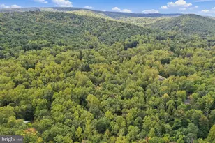 2280 Frogtown Rd, Bluemont, VA 20135 - Photo 67