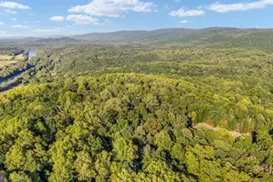 104 Laurel Ln, Bluemont, VA 20135 - Photo 41