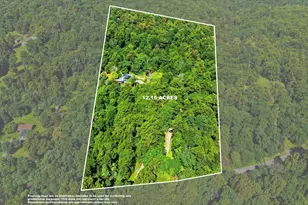 19233 Blue Ridge Mountain Rd, Bluemont, VA 20135 - Photo 113