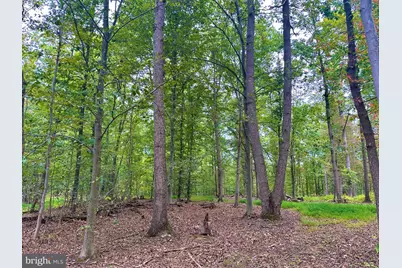 39-A-14 John Mosby Highway, Boyce, VA 22620 - Photo 7