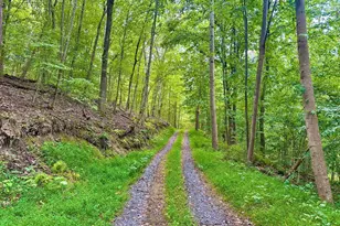 39-A-14 John Mosby Hwy, Boyce, VA 22620 - Photo 1