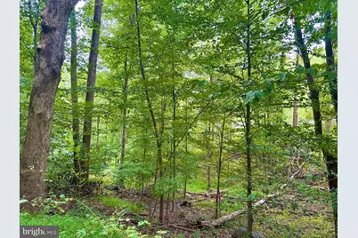 39-A-14 John Mosby Highway, Boyce, VA 22620 - Photo 3