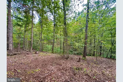 39-A-14 John Mosby Highway, Boyce, VA 22620 - Photo 17