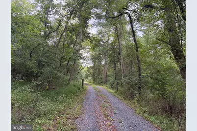 2983 Old Winchester Road, Boyce, VA 22620 - Photo 67
