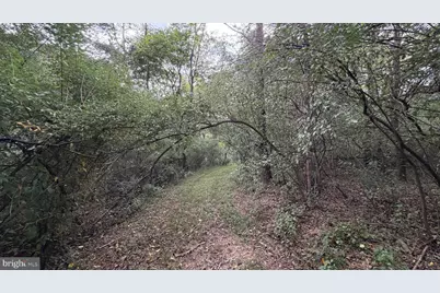 2983 Old Winchester Road, Boyce, VA 22620 - Photo 81