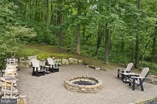 1029 Coulson Ln, Bluemont, VA 20135 - Photo 67