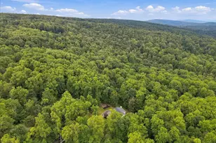 1029 Coulson Ln, Bluemont, VA 20135 - Photo 71