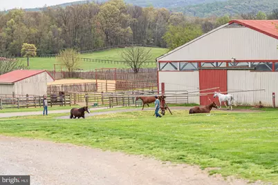 3637 Millwood Road, Boyce, VA 22620 - Photo 29