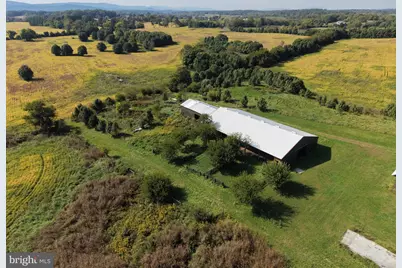 Tract 1: 90.73+/- Acres At 943 Parshall Road, Berryville, VA 22611 - Photo 99