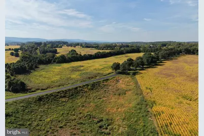Tract 1: 90.73+/- Acres At 943 Parshall Road, Berryville, VA 22611 - Photo 17