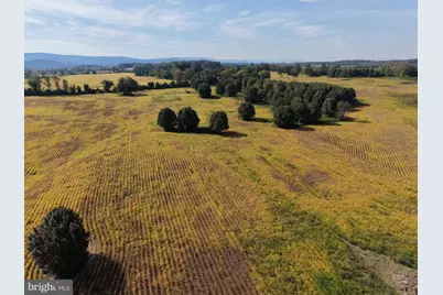 Tract 1: 90.73+/- Acres At 943 Parshall Road, Berryville, VA 22611 - Photo 105