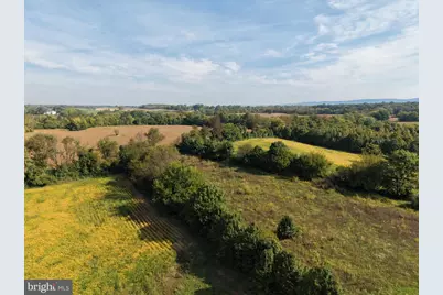 Tract 1: 90.73+/- Acres At 943 Parshall Road, Berryville, VA 22611 - Photo 87