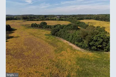 Tract 1: 90.73+/- Acres At 943 Parshall Road, Berryville, VA 22611 - Photo 107
