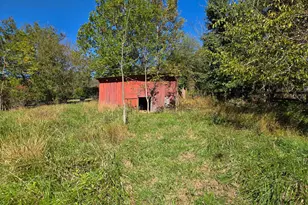 1769 Lewisville Rd, Berryville, VA 22611 - Photo 19