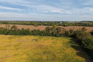 943 Parshall Rd, Berryville, VA 22611 - Photo 113