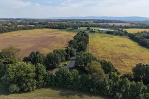 943 Parshall Rd, Berryville, VA 22611 - Photo 119