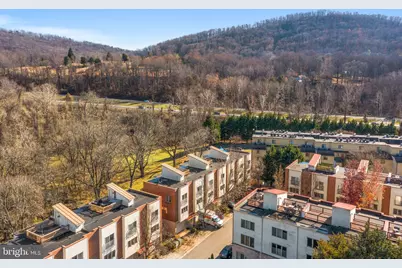 1013 Linden Ave #H, Charlottesville, VA 22902 - Photo 3