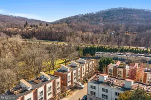 1013 Linden Ave, Charlottesville, VA 22902 - Photo 3