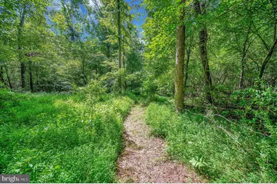 13185 Mill Creek Court, Reva, VA 22735 - Photo 39