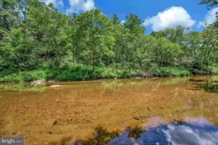 13185 Mill Creek Ct, Reva, VA 22735 - Photo 45