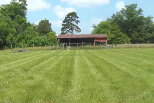 12058 Mitchell Rd, Mitchells, VA 22729 - Photo 33