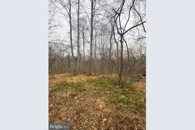 0 Settle School Road, Rixeyville, VA 22737 - Photo 1