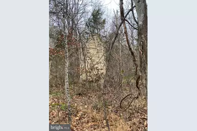 0 Settle School Road, Rixeyville, VA 22737 - Photo 3