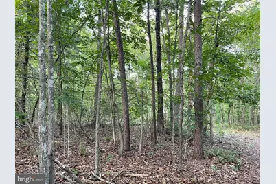 17464 Executive Lane, Culpeper, VA 22701 - Photo 21