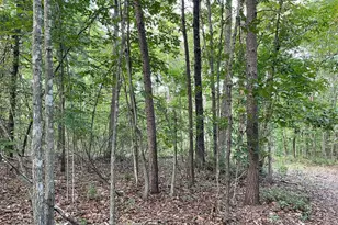 17464 Executive Ln, Culpeper, VA 22701 - Photo 21