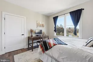 11183 Drogheda Mountain Rd, Rixeyville, VA 22737 - Photo 19