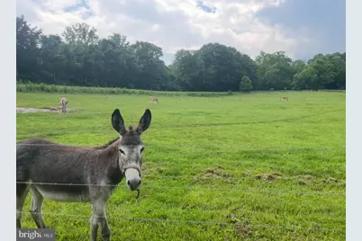 11183 Drogheda Mountain Rd, Rixeyville, VA 22737 - Photo 55