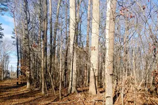 Rixeyville Rd Rte 229/ Lot 1 Next To Kimber Ln, Culpeper, VA 22701 - Photo 1