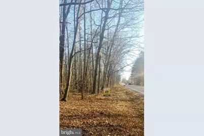 Lot 2 Rixeyville Rd. Rte 229, Adj To Lot 1, Culpeper, VA 22701 - Photo 3