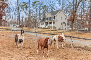 10211 Laurel Ridge, Culpeper, VA 22701 - Photo 97