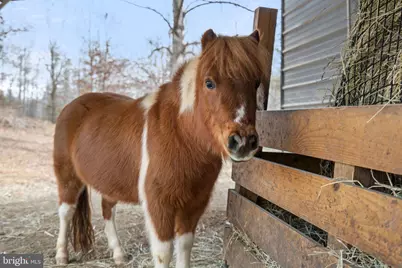10211 Laurel Ridge, Culpeper, VA 22701 - Photo 93