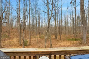 17291 Pepperstock Ln, Jeffersonton, VA 22724 - Photo 41