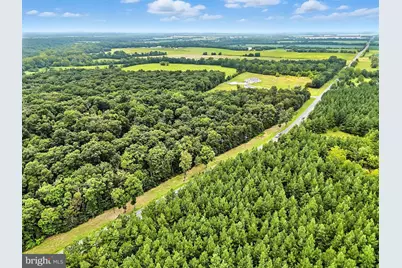 Zachary Taylor, Culpeper, VA 22701 - Photo 9