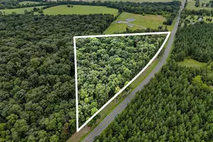 Zachary Taylor, Culpeper, VA 22701 - Photo 1