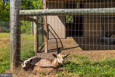 5077 Silver Stone Lane, Rixeyville, VA 22737 - Photo 101