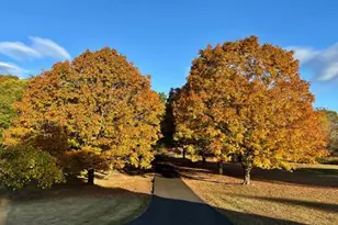 3460 Indian Run Rd, Amissville, VA 20106 - Photo 57