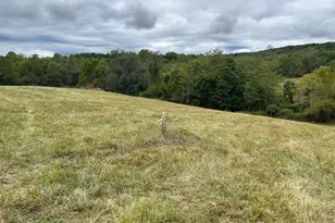 Lot 1 Hoopers Run, Richardsville, VA 22736 - Photo 21