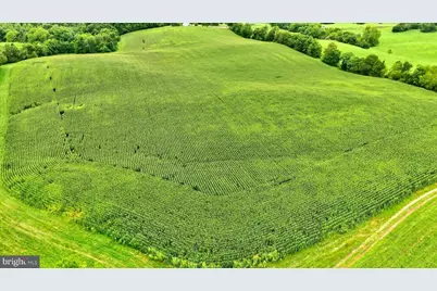 9534 Spring Hill, Rixeyville, VA 22737 - Photo 5