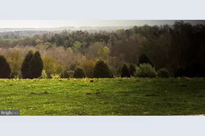 5.0054 Acres Sperryville Pike, Boston, VA 22713 - Photo 3
