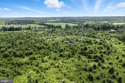 18172 Youngs Lane, Elkwood, VA 22718 - Photo 37