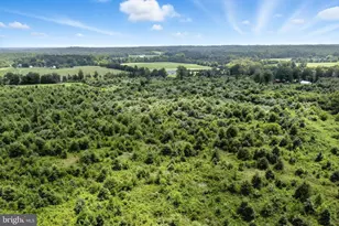 18172 Youngs Ln, Elkwood, VA 22718 - Photo 37