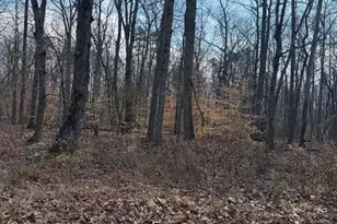 Edwards Shop, Elkwood, VA 22718 - Photo 1